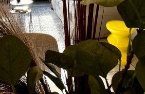 Les Demoiselles de la Tour ! - Foto 19