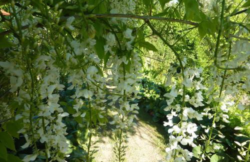 Sowi Dworek - Foto 25