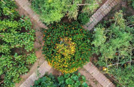 Seaside Villa Alexandra,Acharavi. - Foto 33