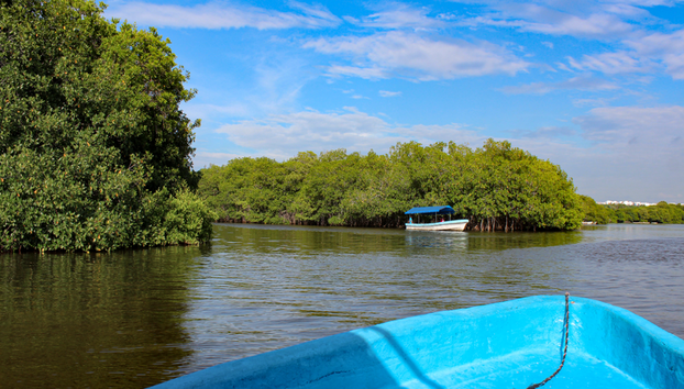 Descubre Mandinga, la Isla de las Conchitas y la Riviera de Mandinga – Tour de medio día - Foto 5