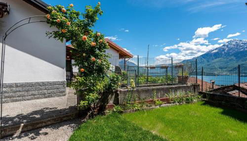 Matteo - Foto 3, Garden