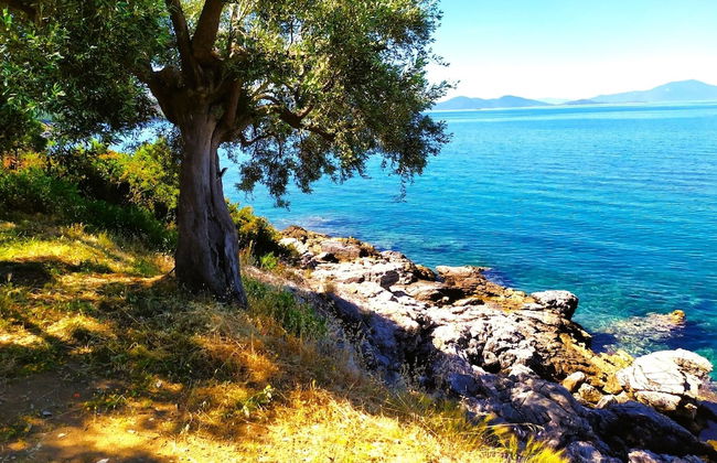 Villa Leonidas GreeceFiloxenia - Photo 63