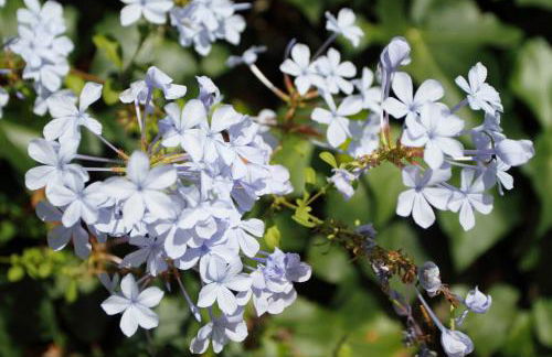 Vivienda Rural Atlántico Sur & Familias - Foto 10