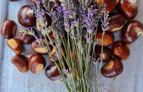 Tana della Lavanda - Photo 74