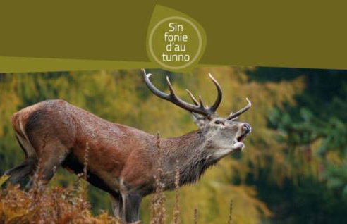 Chalet Migazzi - Foto 37