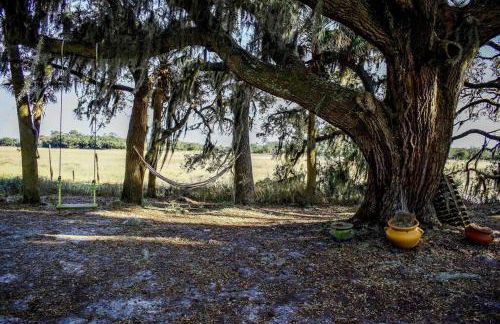 Secluded Tiny House by the Marsh with Hunting Island Beach Pass - Foto 25