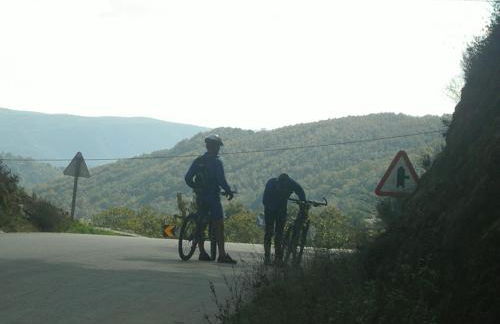 Casa da Fonte de Travanca - Foto 12
