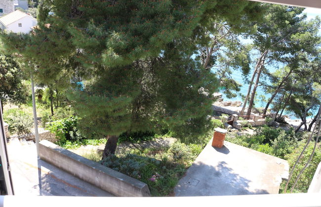 Apartmani Ančila - Foto 26