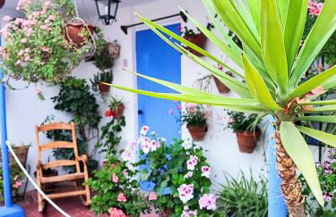 Apartamento Alcázar San Basilio - Foto 23