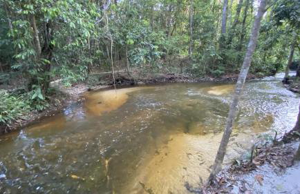 Casa Terra das Cachoeiras - Photo 41