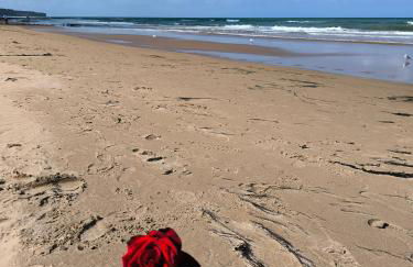 GITE A THEME D-DAY - situé à 15mn d'Omaha Beach - Animaux OK - Terrain clos - Aucuns voisins - WIFI - Foto 17