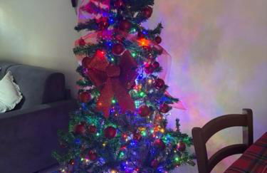 Il Giardino di Sant'Eufemia - Foto 72