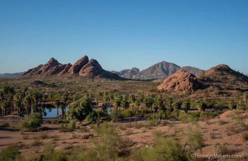 Modern Tempe home with Heated pool, ASU - Foto 41
