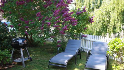 Ferienhaus Austernfischer - Foto 2