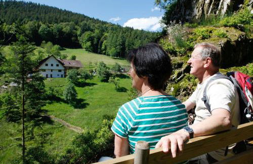 Paradies Im Schwarzwald - Foto 16