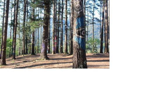 Casa Rural GAUBEKA - Foto 24