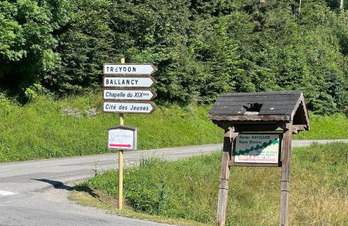 Chalet paisible à 4km de la station des Carroz - Chalet St François de Sales - Foto 29