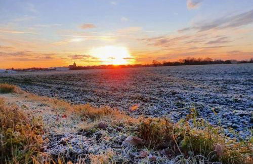 Orth Poststraße 8 EG - Foto 8