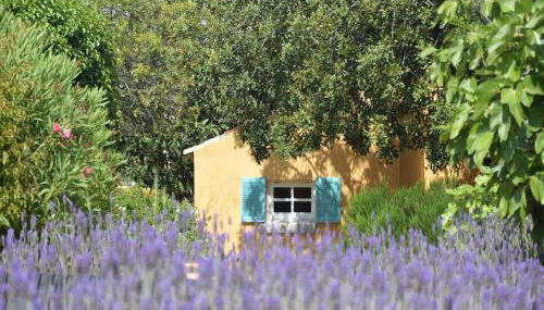 Attractive Portuguese Farm With Modern Decoration - Foto 5