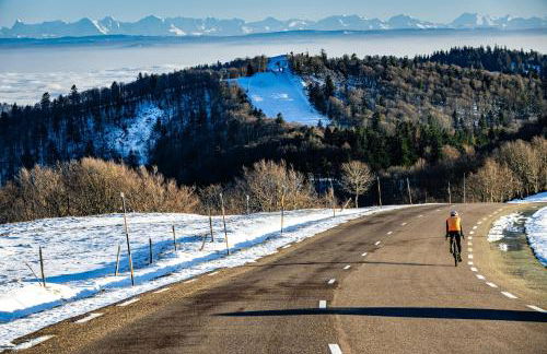 Le Giromagite au pied du Ballon d'Alsace - Foto 18