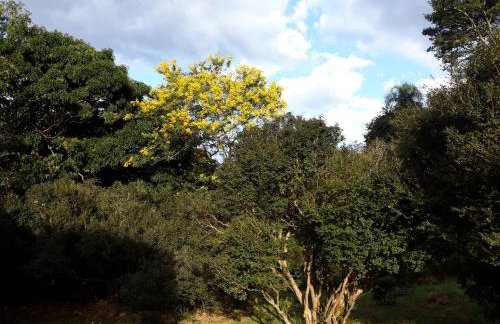 Chalé Veredas e Buritis - Foto 64