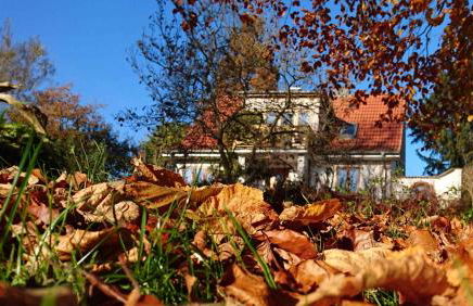 Hale Aloha - Foto 59