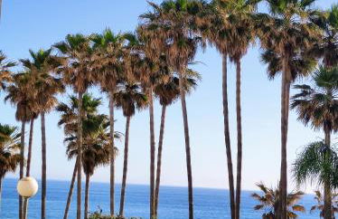 AlgaidaBeach-PaseoLitoral - Photo 50