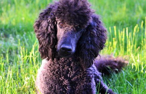 TideAway Farm on Private Island! Escape & Indulge Mother Nature! - Foto 47