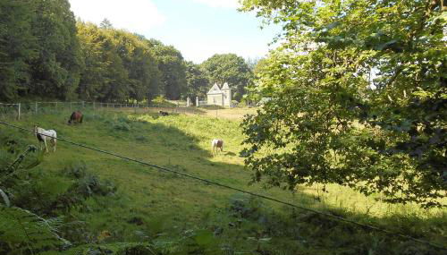 l'orangerie - Photo 2