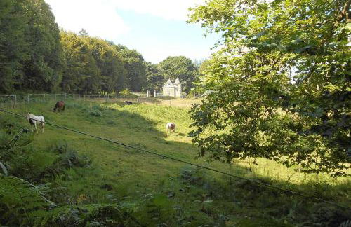 l'orangerie - Photo 2