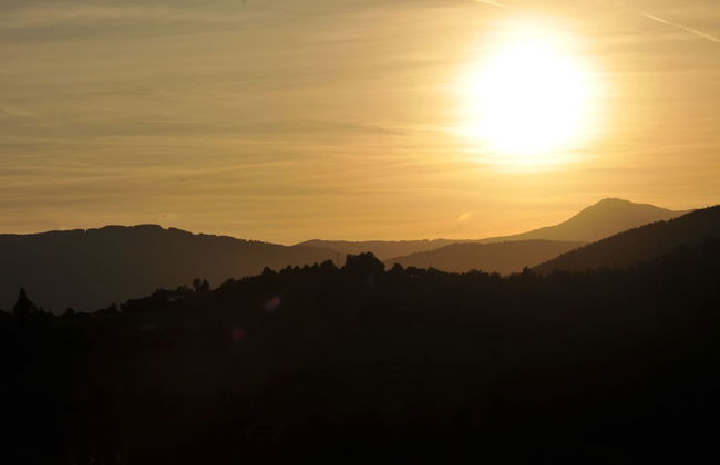 Società Agricola Cacigolara - Foto 62