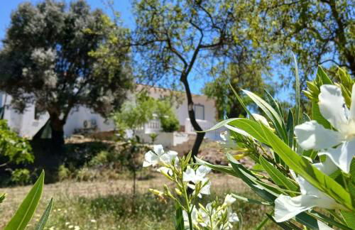 Charming Country House - Foto 10