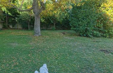 Cal Castro fantástica casa familiar - Photo 10