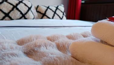 Chamonix : Studio intime au bord du lac des Gaillands et pistes de ski - Photo 3