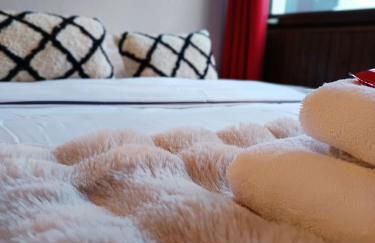 Chamonix : Studio intime au bord du lac des Gaillands et pistes de ski - Photo 3