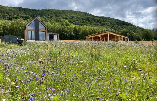 Samsara Domek koło Międzygórza Z sauną i klimatyzacją - Foto 8