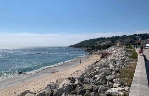 Mar de Fulles - Foto 28