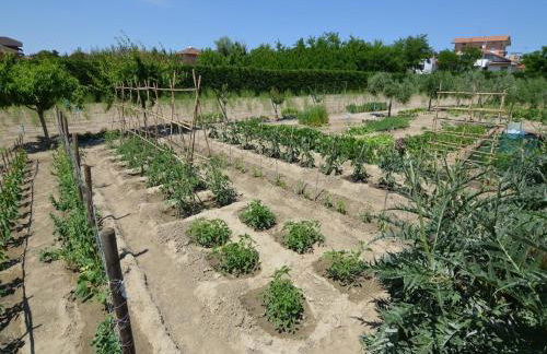 Seaside Apartment Stay - Foto 27