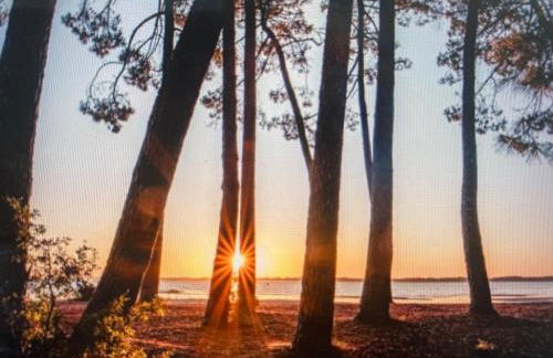 Maison climatisée 47 m2 Biscarrosse proche lac et océan - Foto 11