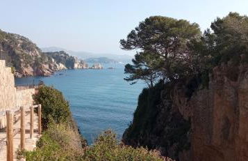 Villa Blanca 10 minutos de la Playa Costa Brava - Foto 42