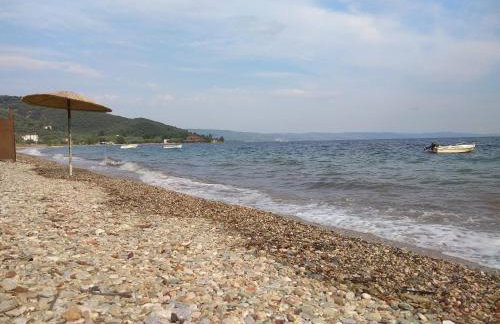 Studio Sunset - Foto 20