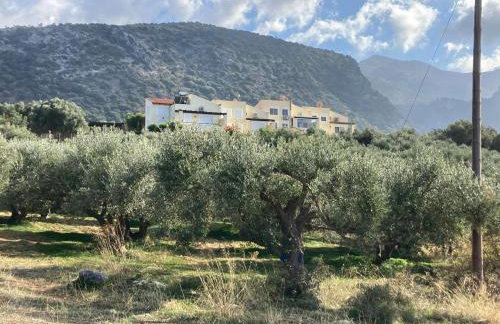 Sissi - Villa Eleftheria - Foto 5