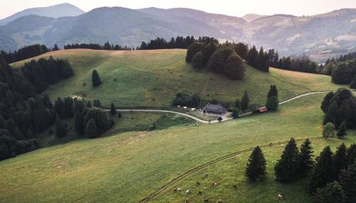 Almgasthaus Knöpflesbrunnen Fünfbettzimmer - Foto 5