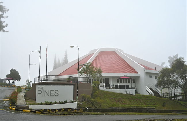 The Pines - Foto 1