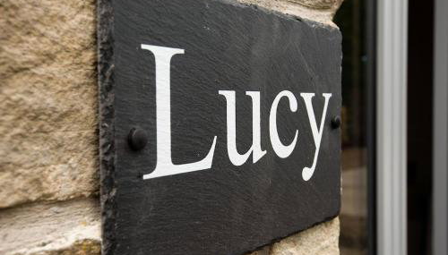 Lucy - Photo 3