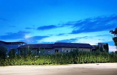 Murrae Loft - Photo 31