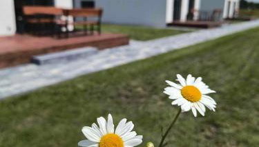 Noclegi Beskidzkie Stodoły - Foto 3