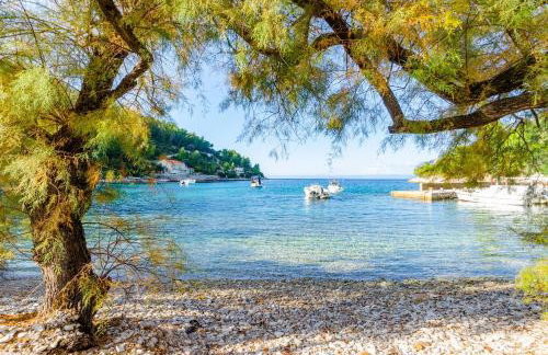 Seaside holiday house Cove Babina, Korcula - 19712 - Foto 5