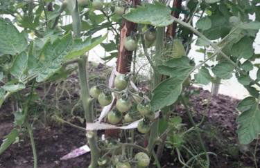 Komfortowy dom wakacyjny dla kilku rodzin - Foto 49