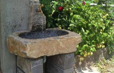 Casa Rural Sofia Ordesa - Foto 4